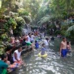 Cold Spring in Laguna