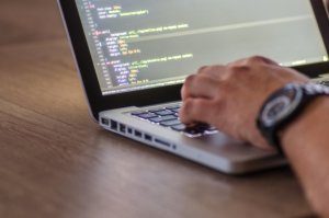 ASP.Net Developer