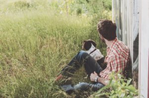 Accommodating Dog Obedience Tips 2020 - Gogagah