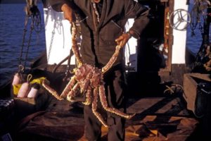 King Crab Fishing in 2020 (step by step)