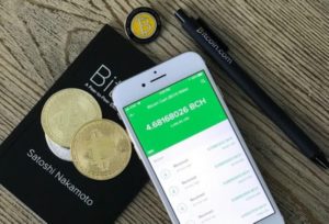 password to your digital wallet