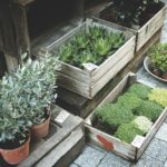 5 Smart Garden Features For The Modern Home