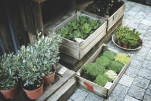 5 Smart Garden Features For The Modern Home