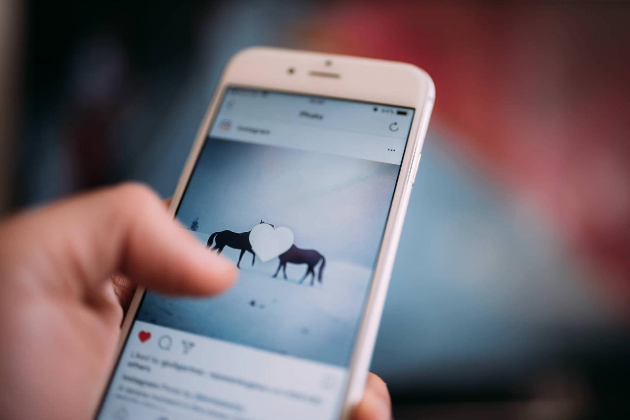 5 Reasons you should not buy Instagram Followers