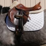 Affordable Saddle Pads For Sale That Are Perfect For Any Horse