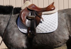 Affordable Saddle Pads For Sale That Are Perfect For Any Horse